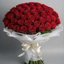 Букет 101 Красная роза Блэк Мэджик в Нерехте