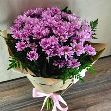 Букет цветов из:  Хризантемы #REPLACE_PRED# Нерехте