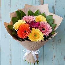 Букет цветов из:  Герберы в Нерехте