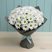 Букет цветов из:  Хризантемы #REPLACE_PRED# Нерехте