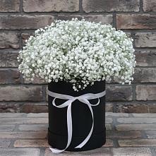 Цветочная композиция из Гипсофила в шляпной коробке в Нерехте
