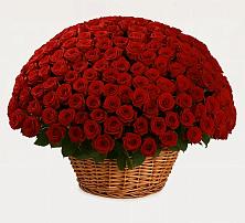 Премиум букет из: Розы в Нерехте